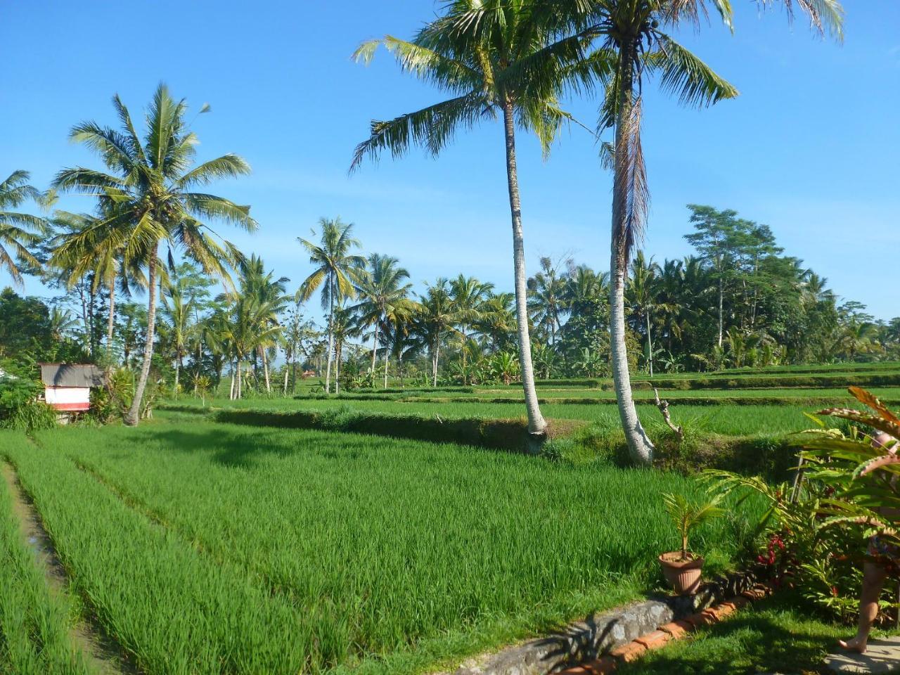 Bali Sawah Indah Ubud Exterior foto