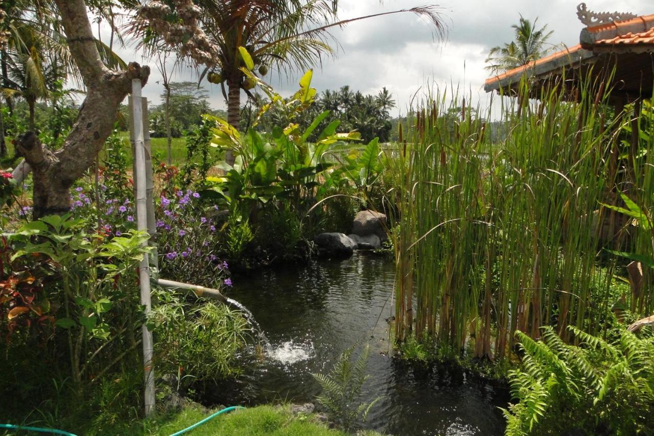 Bali Sawah Indah Ubud Exterior foto