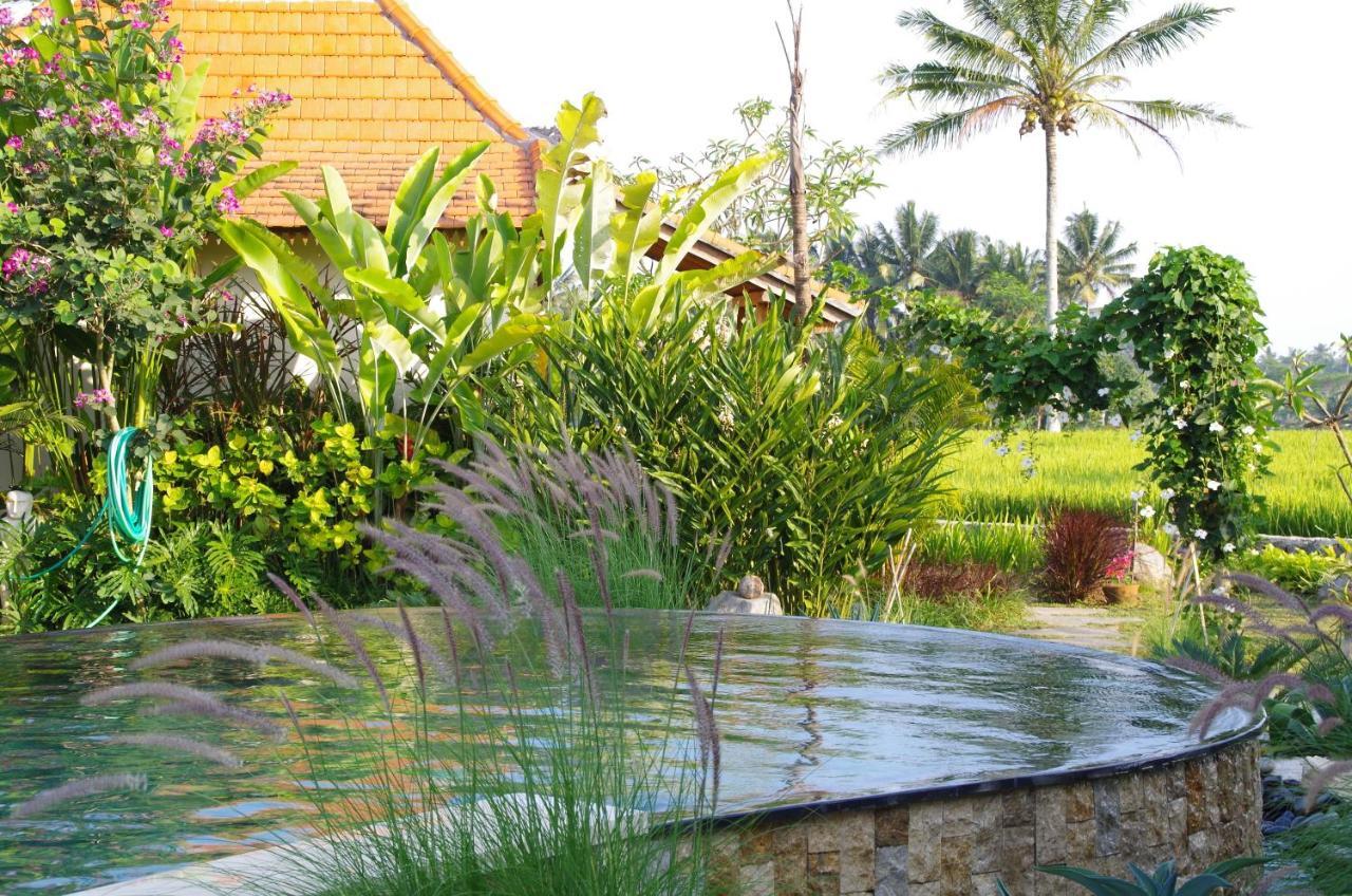 Bali Sawah Indah Ubud Exterior foto