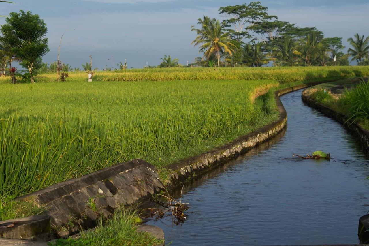 Bali Sawah Indah Ubud Exterior foto